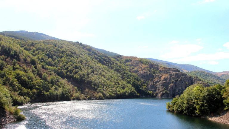 Paysage